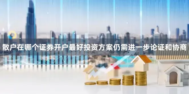 散户在哪个证券开户最好投资方案仍需进一步论证和协商
